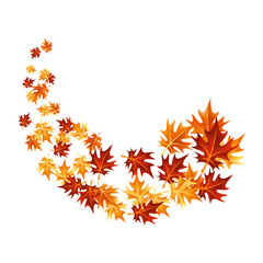 Autumn leaves design element. Fall colorful maple leaves border on white background. Vector illustration