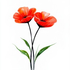 Obraz premium Two vibrant red poppies elegantly depicted in a minimalist watercolor painting style showcasing incredible flower icon art simplicity and natural beauty against a stark white