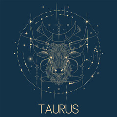 Taurus zodiac sign vector line drawn illustration, horoscope character, stars, constellation and celestial elements in line art style