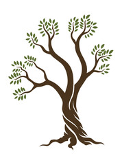 Olive trees with branches and leaves for design of packaging, label, logotype or banner. Natural organic stylized olive icon, premium quality sign. Vector illustration