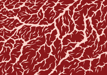 Meat marbled texture. Raw red fresh meat slice for cooking, aged steak pattern. Macro of premium cow meat background with structure and streaks. Flat cartoon vector illustration