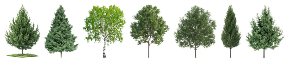 PNG Diverse trees beautifully aligned, element set on transparent background