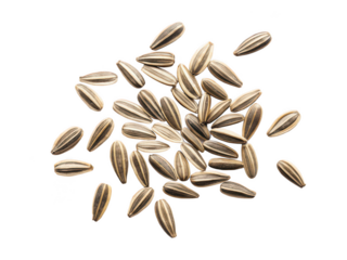 Coreopsis seeds png flower seeds packet png garden coreopsis seeds png wildflower seed mix png colorful bloom seeds png perennial seeds png easy grow flowers png transparent background image