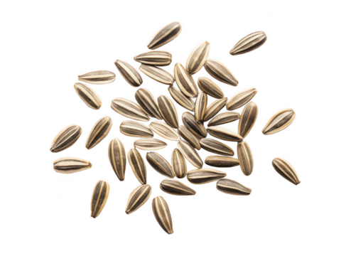 Coreopsis seeds png flower seeds packet png garden coreopsis seeds png wildflower seed mix png colorful bloom seeds png perennial seeds png easy grow flowers png transparent background image