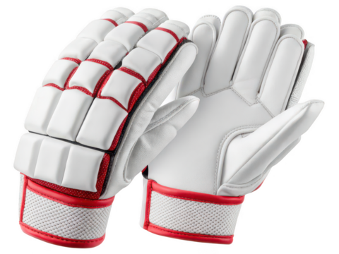 Cricket batting gloves png cricket protective gloves png padded batting gloves png cricket gear gloves png professional cricketer gloves png hand protection gear png transparent background image
