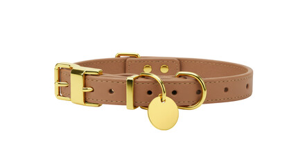 Isolated Brown Leather Dog Collar with Gold Tag