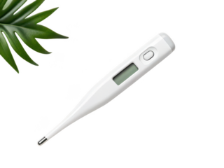 Digital thermometer png electronic thermometer png medical thermometer png fever check thermometer png accurate thermometer png health device png temperature reader png transparent background image