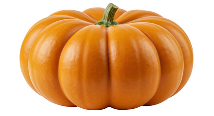 Isolated Pumpkin