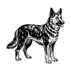 Fototapeta premium A sketchy style illustration of german shepherd
