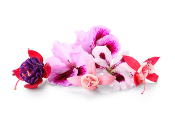 Different beautiful edible flowers on white background