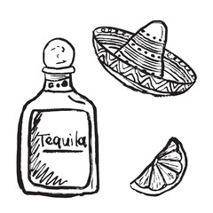 Bottle of tequila, a lime slice, and sombrero in black brush stroke texture isolated on white. Hand drawn vector sketch illustration in vintage charcoal ink. Mexican culture, alcoholic beverages, bar.