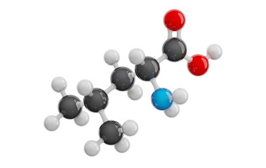 Leucine (Leu) molecule isolated on transparent background. Essential amino acid. Molecular formula: C6H13NO2. Chemical model: Ball and stick. 3D illustration.