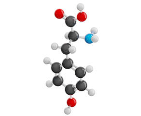 Tyrosine (Tyr) molecule isolated on transparent background. Conditionally essential amino acid. Molecular formula: C9H11NO3. Chemical model: Ball and stick. 3D illustration.