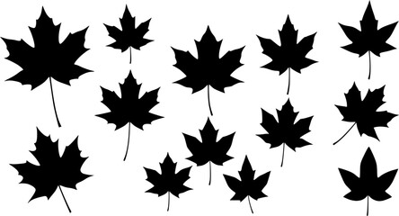 maple leaf silhouettes. vector set. PNG white background
