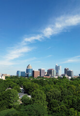 View of the downtown Raleigh skyline with trees in the foreground