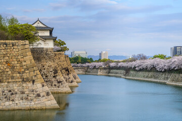A majestic view of Osaka Castle's stone walls, turret and moat, showcasing stunning cherry...