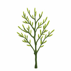 Green Plant with Buds Illustration on White Background