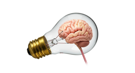 Isolated Brain in a Lightbulb