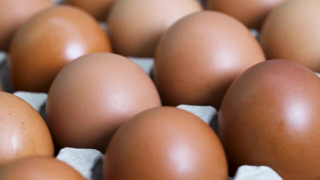 Eggs are the best protein and are inexpensive and readily available.