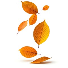 Fototapeta premium Falling Autumn Leaves with Vibrant Colors on a Clean White Background