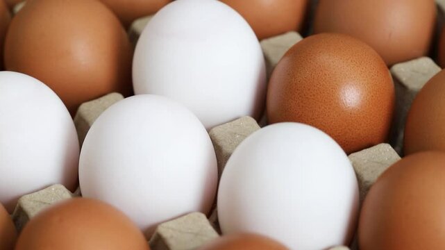 Eggs are the best protein and are inexpensive and readily available.