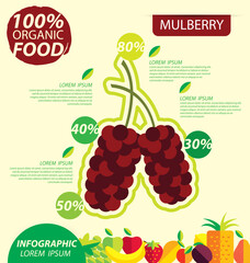 Mulberry. Infographic template. vector illustration.