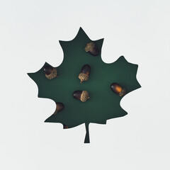 Creative flat lay of acorns visible through a autumn leaf shaped gap. Cozy seasonal concept for fall backgrounds, Thanksgiving themes and harvest celebrations. Top view banner. Autumn aesthetic.