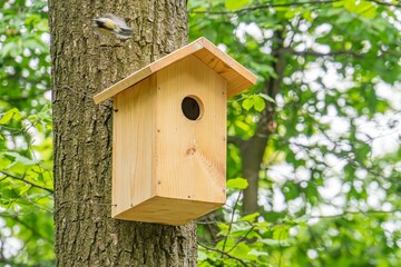 A rustic wooden birdhouse attached to a tree trunk in an outdoor setting The single-entry birdhouse has a peaked roof, flat base, and visible screws securing it An adult bird is perched on the tree