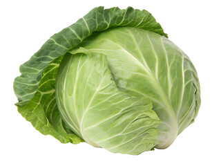 Close-up of a Fresh Green Cabbage Isolated on transparent background, Isolated Png Isolated on transparent background, Isolated Png file, Cut-out, Isolate Png, No Background, Isolated object