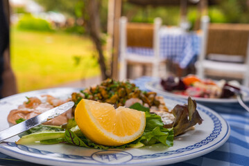 Close up of a Mediterranean dish with lemon, greens, and herbs on a blue and white tablecloth. Outdoor dining area with wooden chairs and lush greenery.