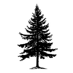 a black and white silhouette of a pine tree black, fir tree, pine tree, silhouette, tree , Generative art.