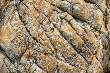 Close-up of a rock surface revealing intricate natural textures and patterns, perfect for backgrounds, geology themes, or showcasing the raw beauty of earth materials and stone formations.