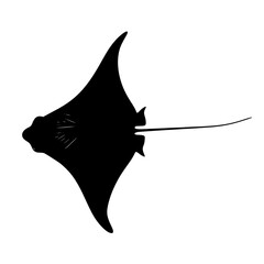 a black silhouette of a cat on a white background black, cat, ray, silhouette , Generative art.