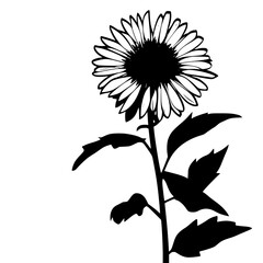 the silhouette of a sunflower, in black and white, a picture of a flower black, daisy, flower, illustration, picture, silhouette, sunflower, white , Generative art.