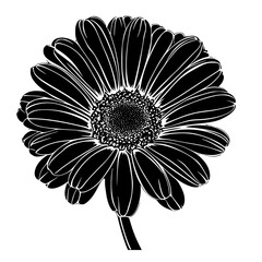a black and white picture of a flower black, daisy, flower, picture, silhouette , Generative art.
