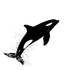 a black silhouette of a killer whale jumping out of the water black, silhouette, water , Generative art.