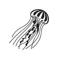 Elegant Line Art Jellyfish Illustration A Stunning Underwater Creature Design