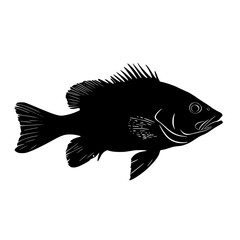 a black silhouette of a fish on a white background black, fish, icon, silhouette , Generative art.