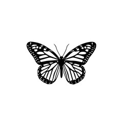 a black and white butterfly on a white background black, butterfly, wing , Generative art.