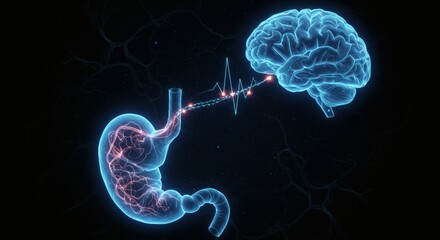 Gut Feeling BrainStomach Connection with Neural Pathway, and Futuristic Science.