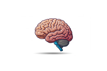 A detailed human brain graphic perfect for medical websites, educational materials, or brain health branding projects, offering a scalable design for various applications.