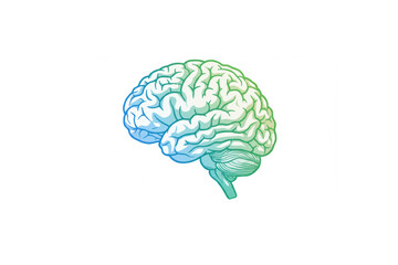 A detailed brain graphic design ideal for medical branding projects needing a scalable logo or icon for neurology clinics or educational materials.