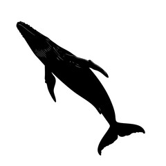 a black and white silhouette of a whale leaping out of the water black, silhouette, water, whale , Generative art.