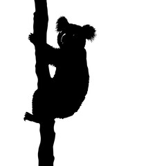 a black silhouette of an australian animal hanging from a tree animal, black, branch, hang, koala, silhouette, tree , Generative art.