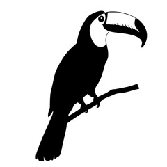a black and white silhouette of a parrot sitting on a branch beak, bird, black, branch, parrot, silhouette, sit on, tree branch , Generative art.