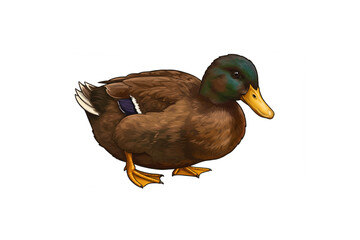 Detailed Brown Duck Scalable Graphic Perfect for Logo Design Branding and Nature Themes