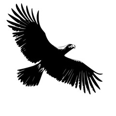 the black silhouette of an eagle in flight with wings spread bird, black, eagle, flight, fly, silhouette, wing , Generative art.