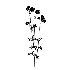 a black silhouette of a plant with small flowers black, flower, plant, silhouette, small , Generative art.