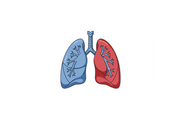 A detailed lung anatomy design perfect for medical illustrations, educational resources, or health branding projects requiring a clean and professional aesthetic.