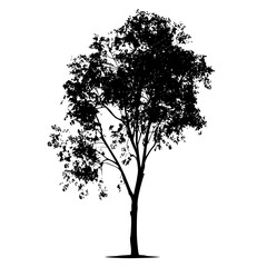 black silhouette of a tree on a white background black, silhouette, tree , Generative art.